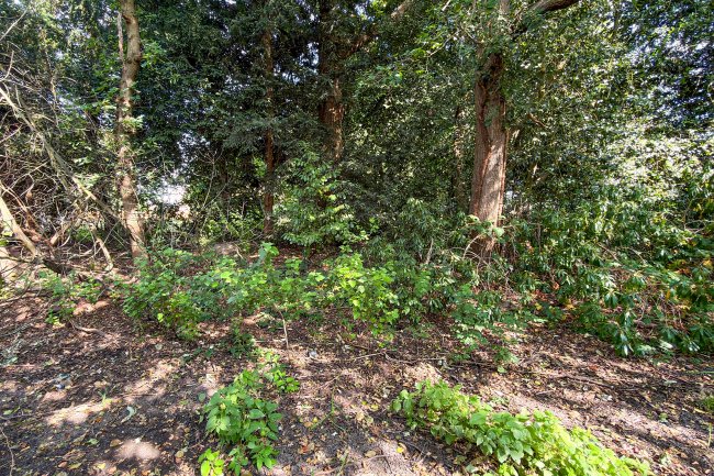Land on the South Side of Farm Drive, Croydon, CR0 8HX 2