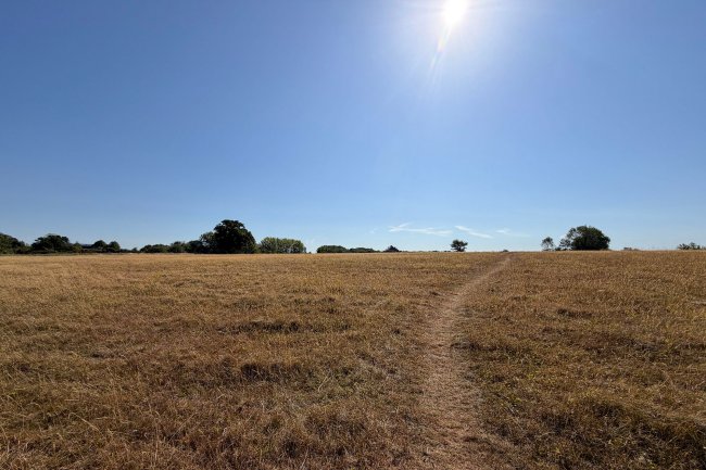 Lakewood, The White Barn and Land at Rushden Road, Sandon, Buntingford SG9 0QN 34