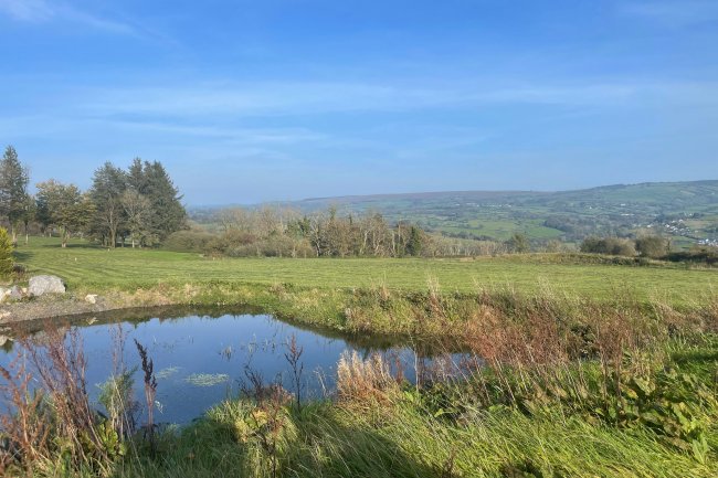 The Sticle Estate, Pencader, Carmarthenshire SA39 9AN 5