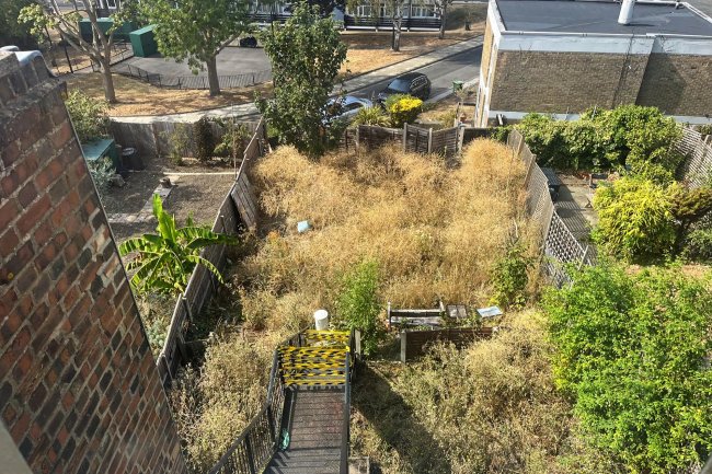 29B Rye Hill Park, Nunhead, London SE15 3JN 6