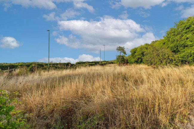 Sunray Farm, 59 Woodmansterne Lane, Carshalton, SM5 4BJ 5