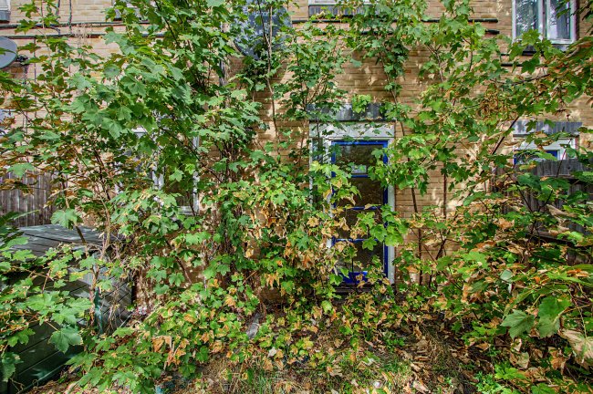 Flat 5 Solomon House, 50 Rectory Road, Stoke Newington, London, N16 7QY 1