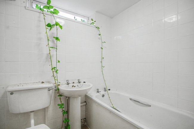 39 (A B and C), Wilson Road, Camberwell, London SE5 8PE 6