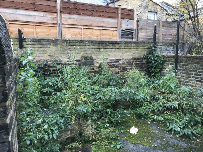 20 Elsley Road, Battersea, London SW11 5LL 1