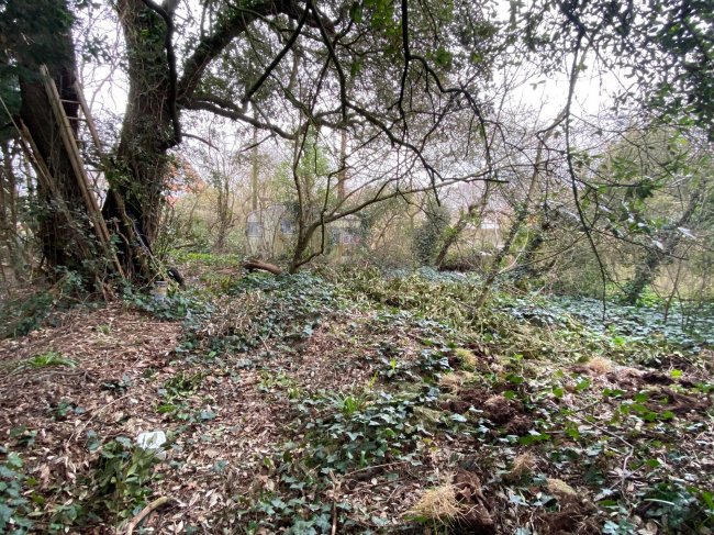 Oakfield Cottage, Packsfield Lane, Wootton Bridge, Ryde, Isle of Wight PO33 4RP
 6