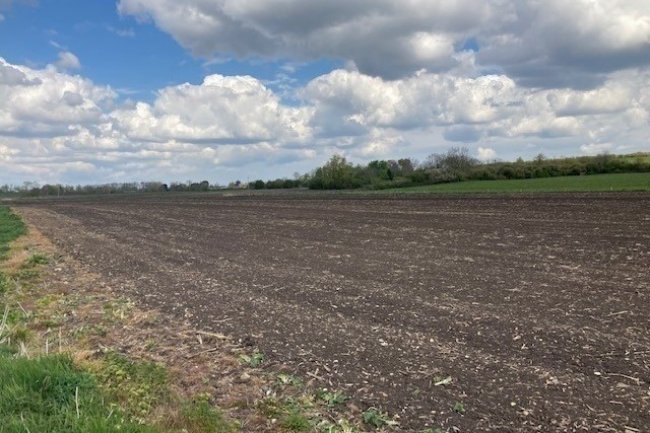 Land at Sutton, Ely, Cambridegshire CB6 2BB
 8