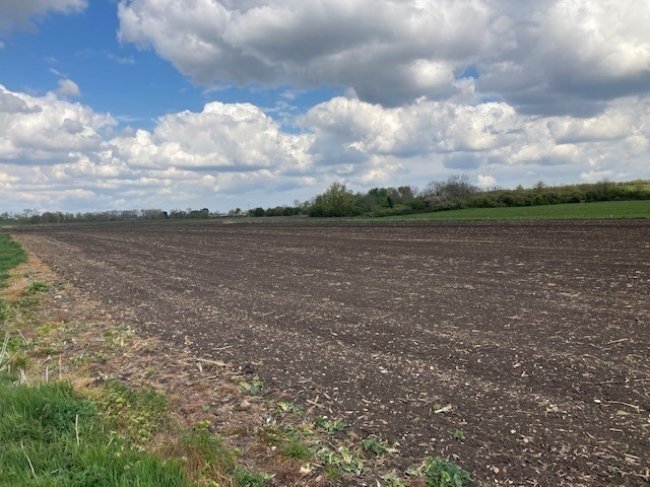 Land at Sutton, Ely, Cambridegshire CB6 2BB
 8