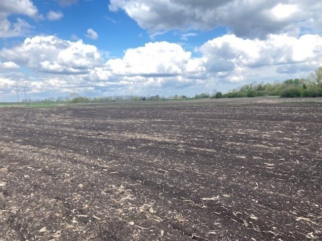 Land at Sutton, Ely, Cambridegshire CB6 2BB
 8