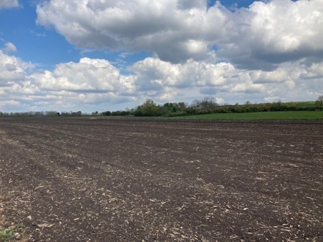 Land at Sutton, Ely, Cambridegshire CB6 2BB
 8