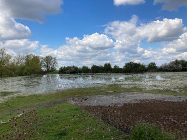 Land at Mepal, Ely, Cambridgeshire CB6 2AJ
 9