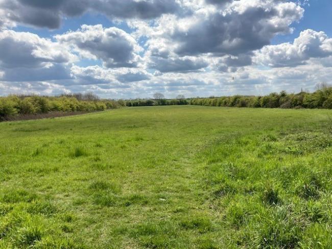 Land to the east of The Slade Witcham, Ely Cambridgeshire CB6 2LQ
 10