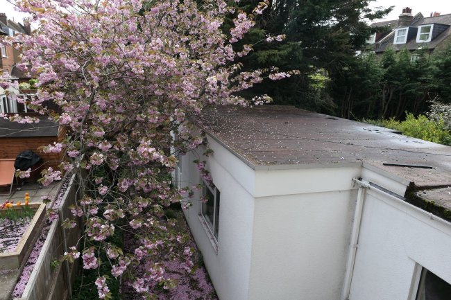 79 and 79A Park Lane, Croydon,  Surrey CR0 1JG
 8