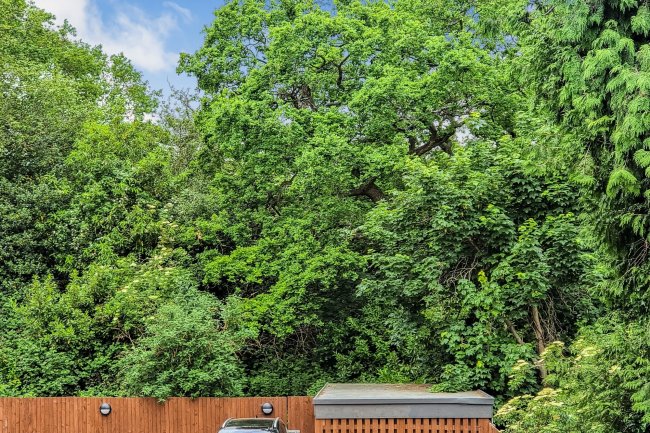 Land Rear of 14 Highland Road, Bromley, Kent BR1 4AD 4