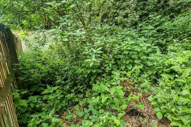 Land Rear of 14 Highland Road, Bromley, Kent BR1 4AD 4