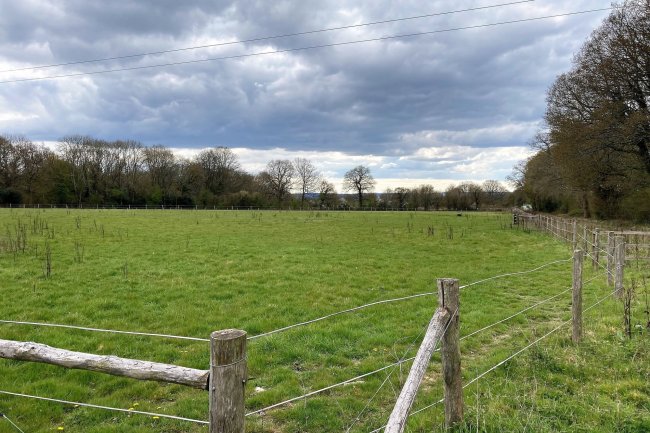 Land at Alfold Farm, Loxwood Road, Alfold, Cranleigh, Surrey GU6 8HP
 4