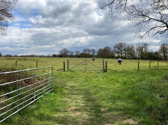 Land at Alfold Farm, Loxwood Road, Alfold, Cranleigh, Surrey GU6 8HP
 4