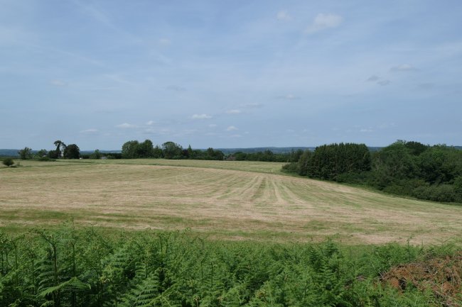 Silver Hill Pump House Business Unit and Land, Bodiam Road, Silver Hill, Hurst Green, East Sussex, TN19 7QD 8