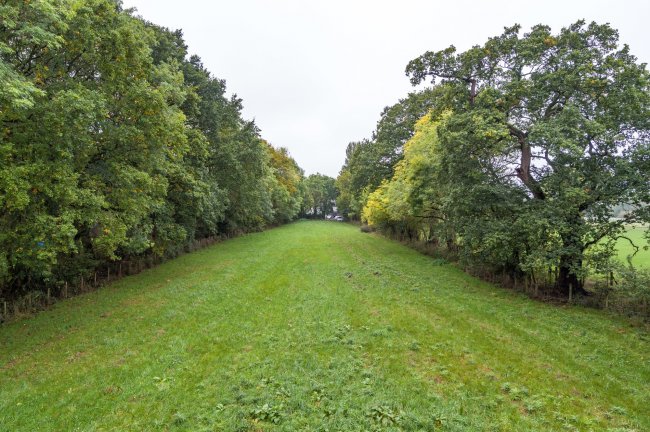 Land on the east side of Grove Lane,
Winkfield Row,
Bracknell,
Berkshire,
RG42 6ND

 6