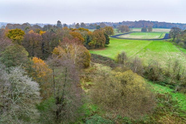 Land east side of Whitmore Lane, Sunningdale, Berkshire, SL5 0NR 8