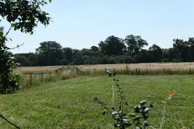 The Bungalow, 3 Sutton Lane, (entrance opposite Grasholm Way) Langley, Slough, Berkshire SL3 8AR 8