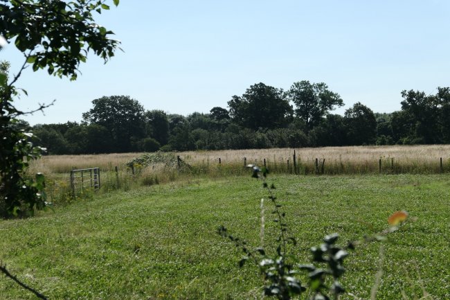 The Bungalow, 3 Sutton Lane, (entrance opposite Grasholm Way) Langley, Slough, Berkshire SL3 8AR 10