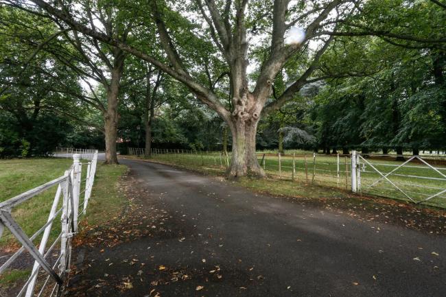 Stretton House, Stretton Court, off Watling Street, Hinckley, Leicestershire, LE10 3HZ 6