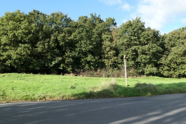 6 North End, Buckhurst Hill, Essex IG9 5RA
 5