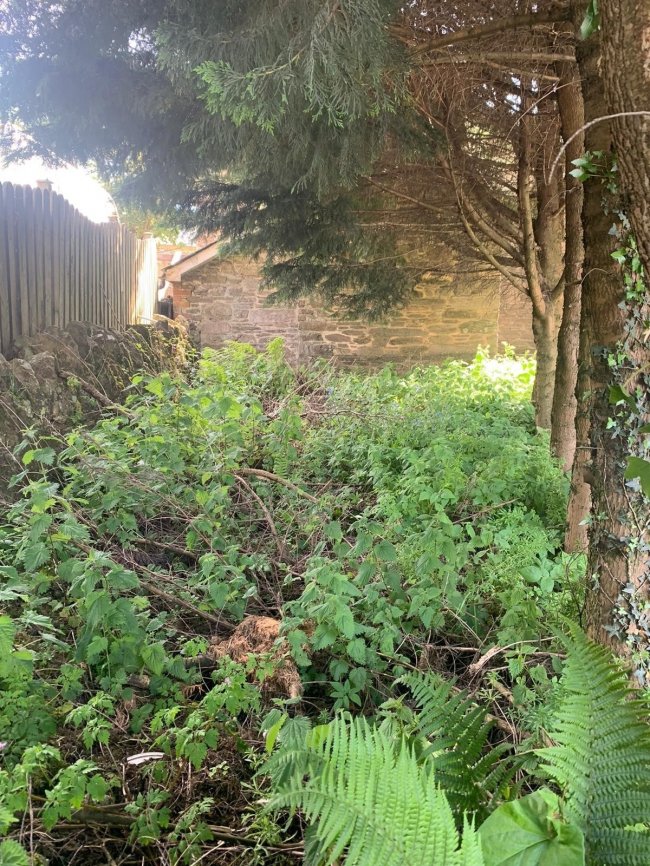 St Leonards Hall, Halwell, near Totnes, Devon TQ9 7JA 5