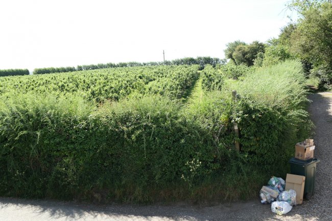 Post Office House, Soleshill Road, Shottenden, Canterbury, Kent CT4 8JR 3