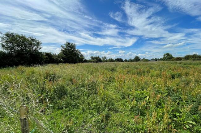 Brooklyn Farm, Broom Dykes, Houghton Bank, Heighington, Darlington, County Durham DL2 2XL 6