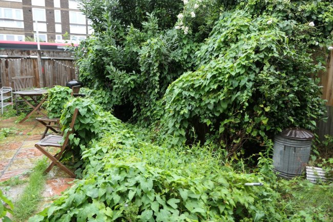 Ground Floor Flat, 22 Collingbourne Road, Shepherds Bush, London W12 0JQ
 5