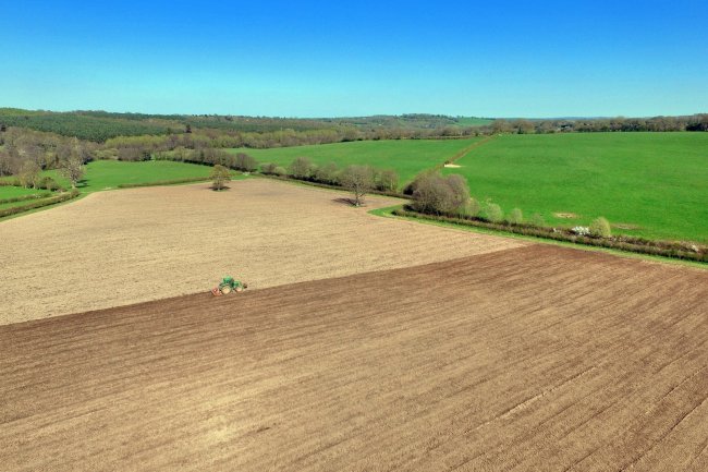 Owletts Farm, Thornhill Road, Ashurst Wood, West Sussex RH19 3SL 6