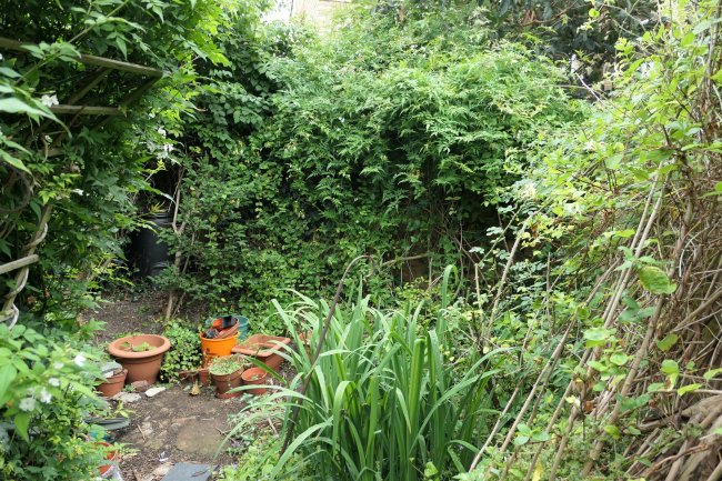 27 Wingmore Road, Herne Hill, London, SE24 0AS 4