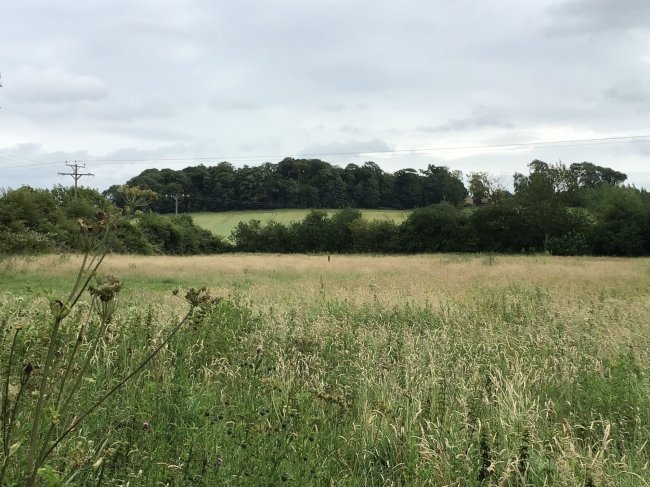 Grazing Land / Paddock, Back Lane, Brattleby, Lincoln, Lincolnshire LN1 2SQ  4