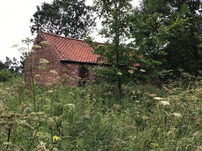 Grazing Land / Paddock, Back Lane, Brattleby, Lincoln, Lincolnshire LN1 2SQ  4