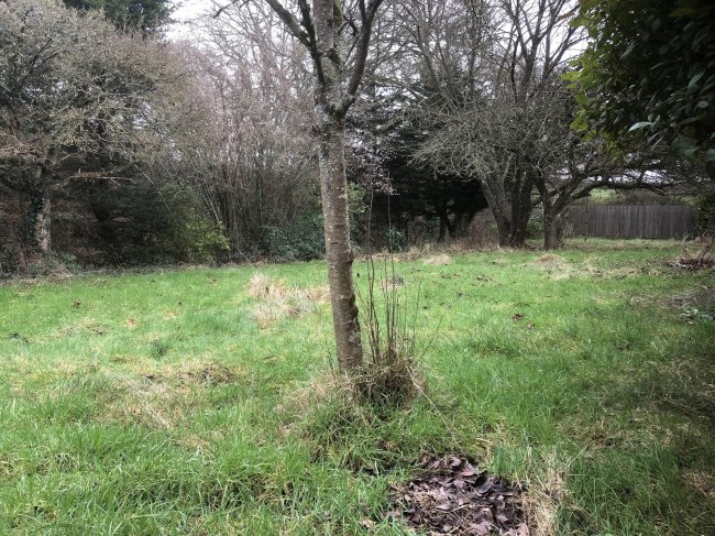 The Nook, Fifehead St Quintin, Sturminster Newton, Dorset DT10 2AP 10