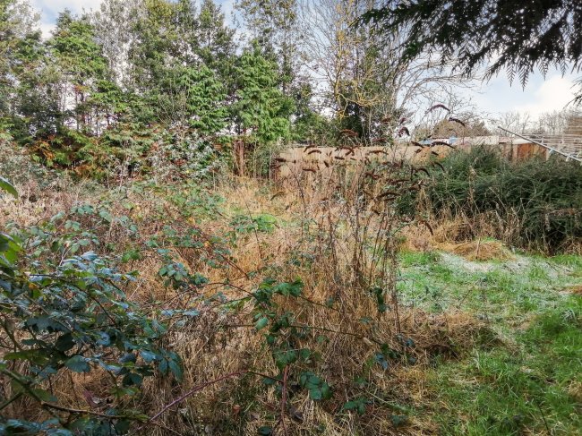 18 Aylsham Road, Tuttington, Aylsham, Norfolk NR11 6TE
 5