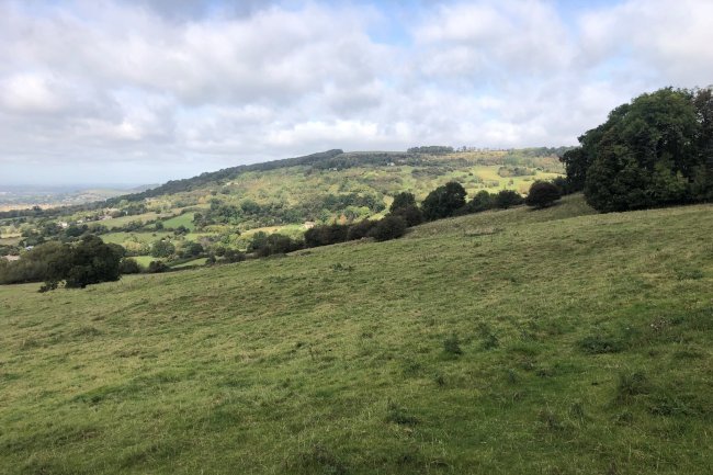 Land at Cleeve Hill, Cleeve Hill, Cheltenham, Gloucestershire GL52 3QA 10