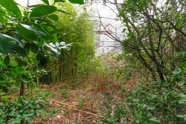 53 Killieser Avenue, Streatham, London, SW2 4NX
 1