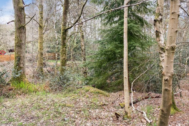 Land on Old Park Lane, Farnham, Surrey GU10 5AA 6