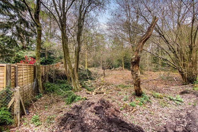 Land on Old Park Lane, Farnham, Surrey GU10 5AA 6