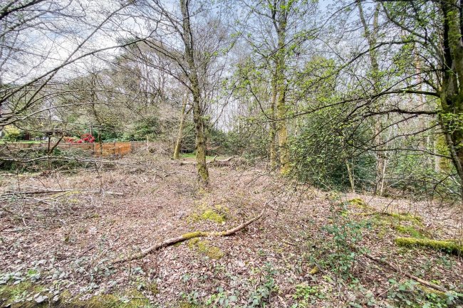 Land on Old Park Lane, Farnham, Surrey GU10 5AA 6