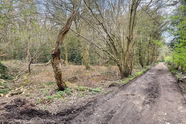 Land on Old Park Lane, Farnham, Surrey GU10 5AA 6