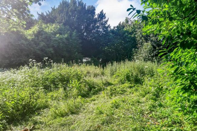 Land On The North Side Of Cricketer's Cottage, Tangley, Andover SP11 0SH 4