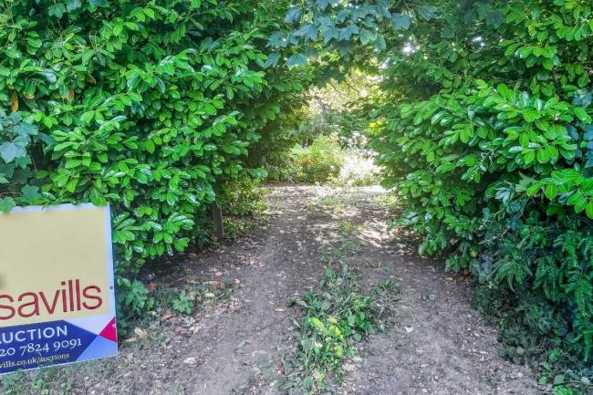 Land On The North Side Of Cricketer's Cottage, Tangley, Andover SP11 0SH 4