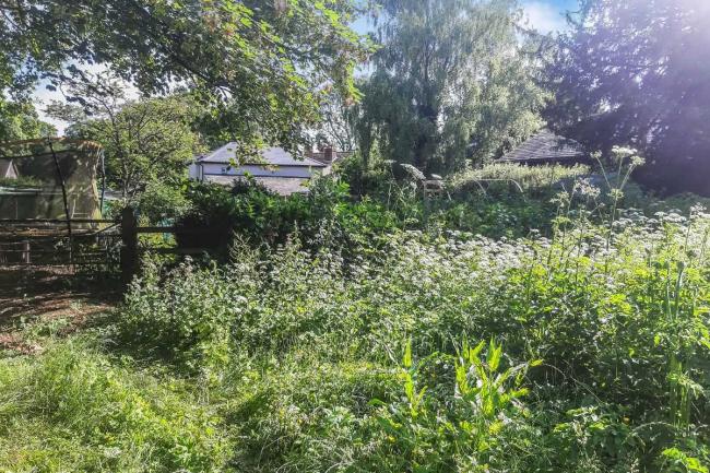 Land On The North Side Of Cricketer's Cottage, Tangley, Andover SP11 0SH 4