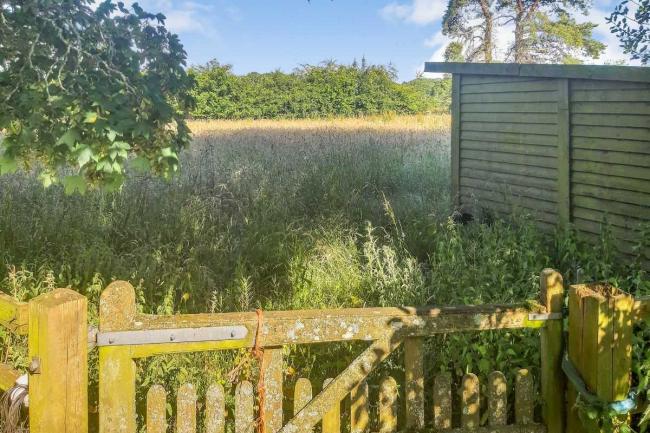 Western Paddock, adjoining Clarke’s Lane, Tangley, Andover SP11 0SH 5