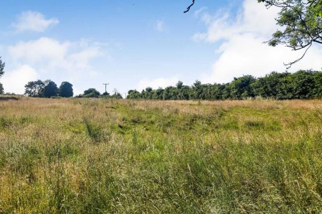 Eastern Paddock, Tangley, Andover SP11 0SH 6