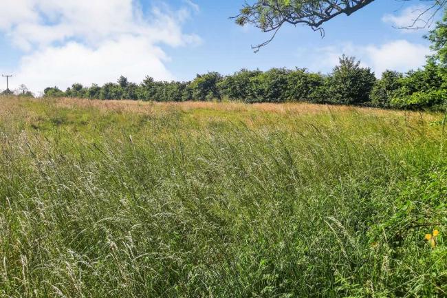 Eastern Paddock, Tangley, Andover SP11 0SH 6