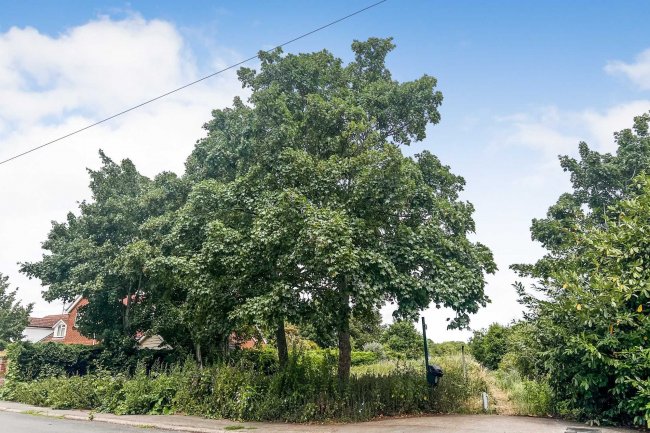 Land to the East of 2 Wharf Road, Wraysbury, Staines TW19 5JQ 5